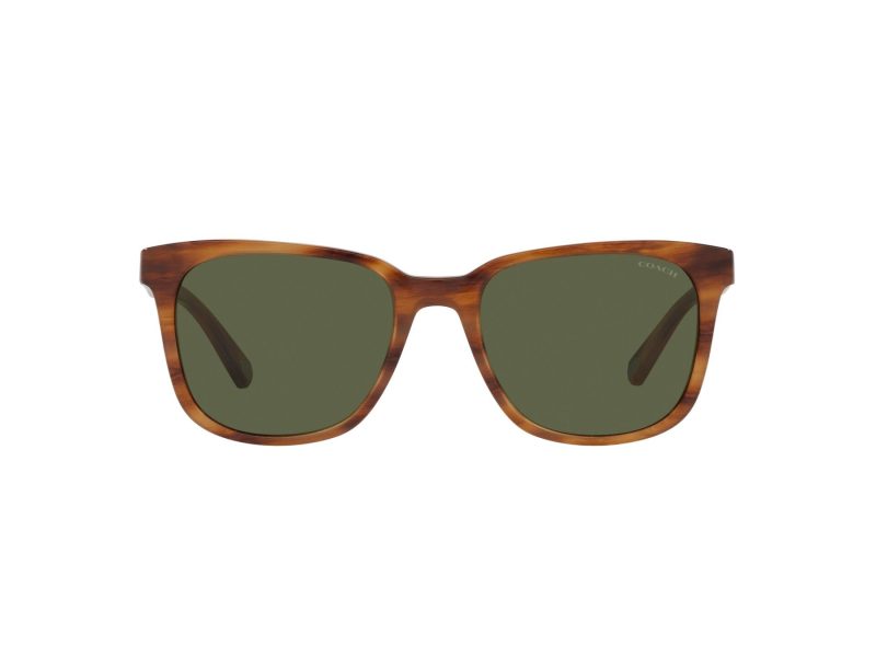 Coach C2095 Sonnenbrille HC 8313U 558171