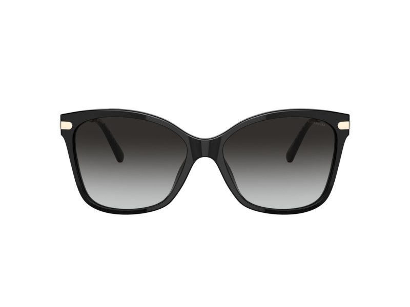 Coach C3446 Sonnenbrille HC 8316 50028G