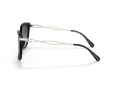 Coach C3446 Sonnenbrille HC 8316 50028G
