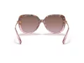Coach C6180 Sonnenbrille HC 8320 56505M