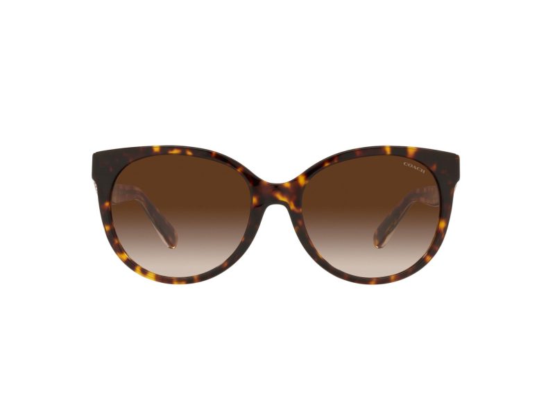 Coach C6181 Sonnenbrille HC 8321 51203B