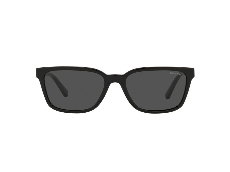 Coach C6196 Sonnenbrille HC 8328U 500287