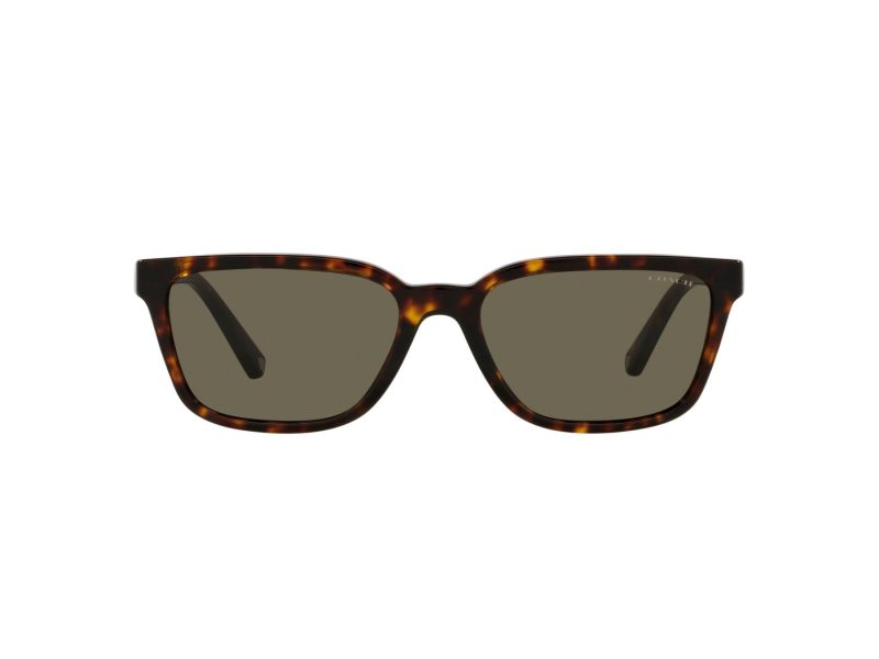 Coach C6196 Sonnenbrille HC 8328U 512003