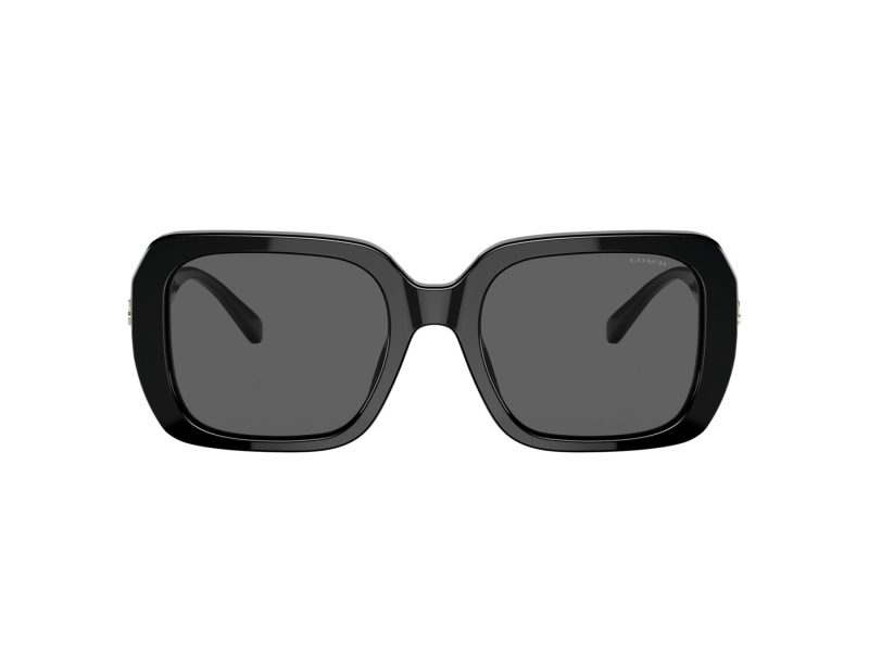 Coach C6188 Sonnenbrille HC 8329U 500287