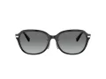 Coach C6199 Sonnenbrille HC 8332D 500211