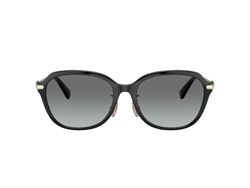 Coach C6199 Sonnenbrille HC 8332D 500211