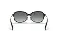Coach C6199 Sonnenbrille HC 8332D 500211