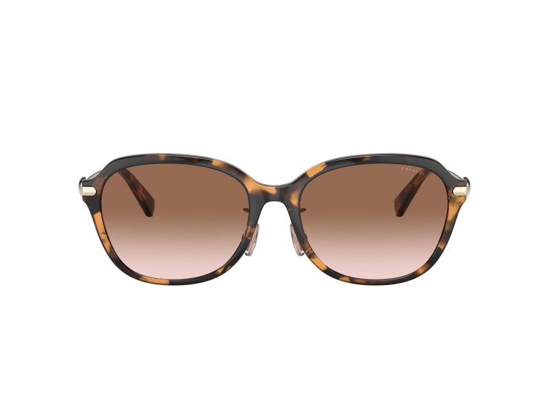 Coach C6199 Sonnenbrille HC 8332D 512013