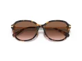 Coach C6199 Sonnenbrille HC 8332D 512013