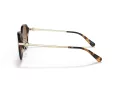 Coach C6199 Sonnenbrille HC 8332D 512013