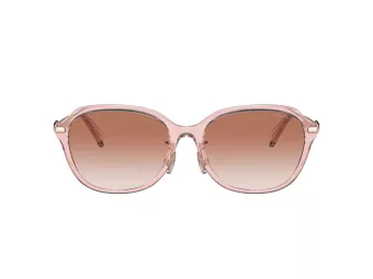 Coach C6199 Sonnenbrille HC 8332D 566613