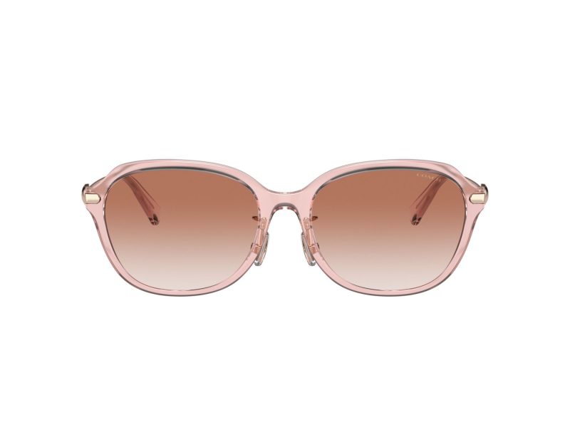 Coach C6199 Sonnenbrille HC 8332D 566613