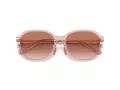 Coach C6199 Sonnenbrille HC 8332D 566613