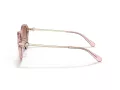 Coach C6199 Sonnenbrille HC 8332D 566613