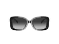 Coach C7994 Sonnenbrille HC 8334U 50023C