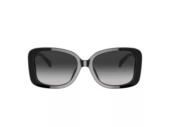 Coach C7994 Sonnenbrille HC 8334U 50023C