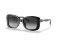 Coach C7994 Sonnenbrille HC 8334U 50023C