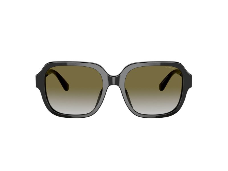 Coach C7989 Sonnenbrille HC 8335U 50027Z