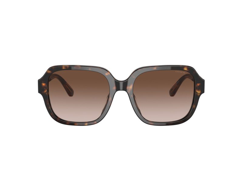 Coach C7989 Sonnenbrille HC 8335U 512013