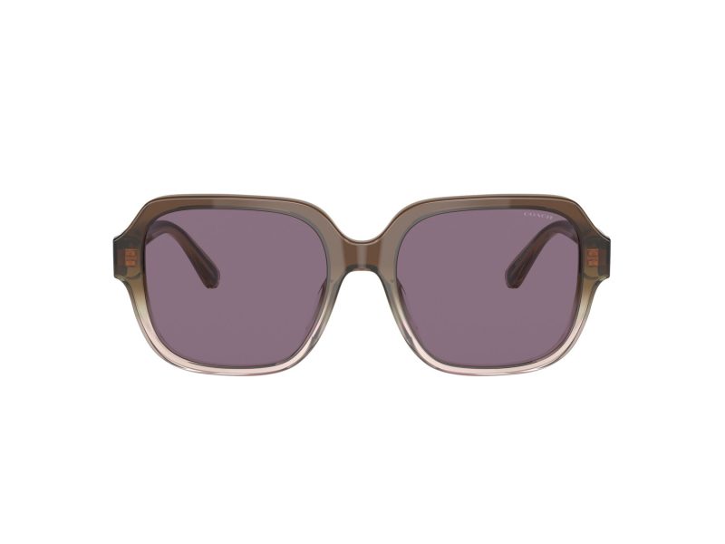 Coach C7989 Sonnenbrille HC 8335U 56781A