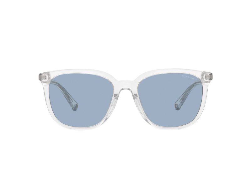 Coach C8006 Sonnenbrille HC 8338U 511172