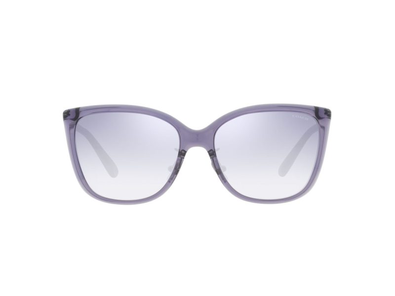 Coach C9206 Sonnenbrille HC 8345 56657B