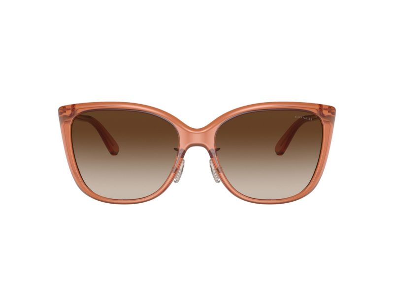 Coach C9206 Sonnenbrille HC 8345 570013