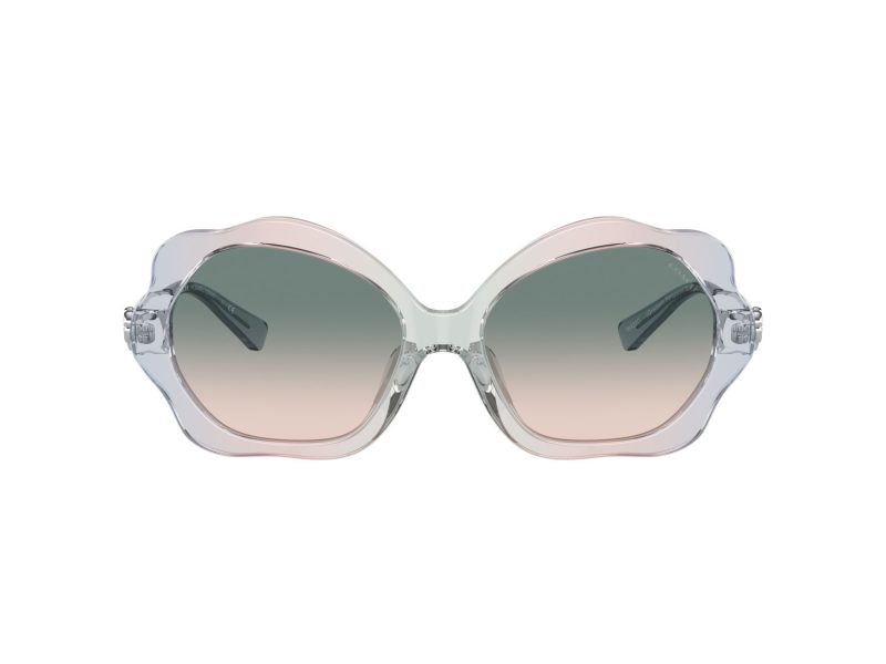 Coach C9200 Sonnenbrille HC 8346BU 56422C