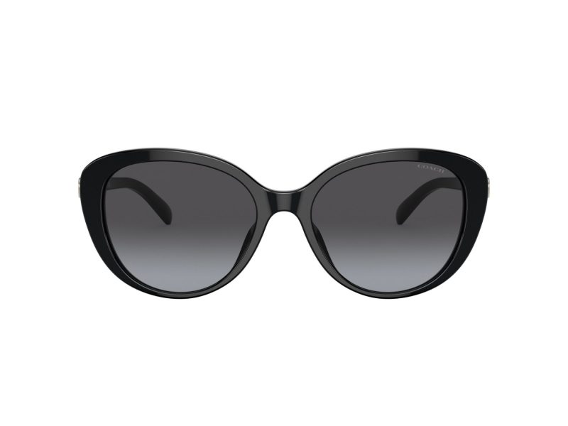 Coach Cd479 Sonnenbrille HC 8348U 50028G