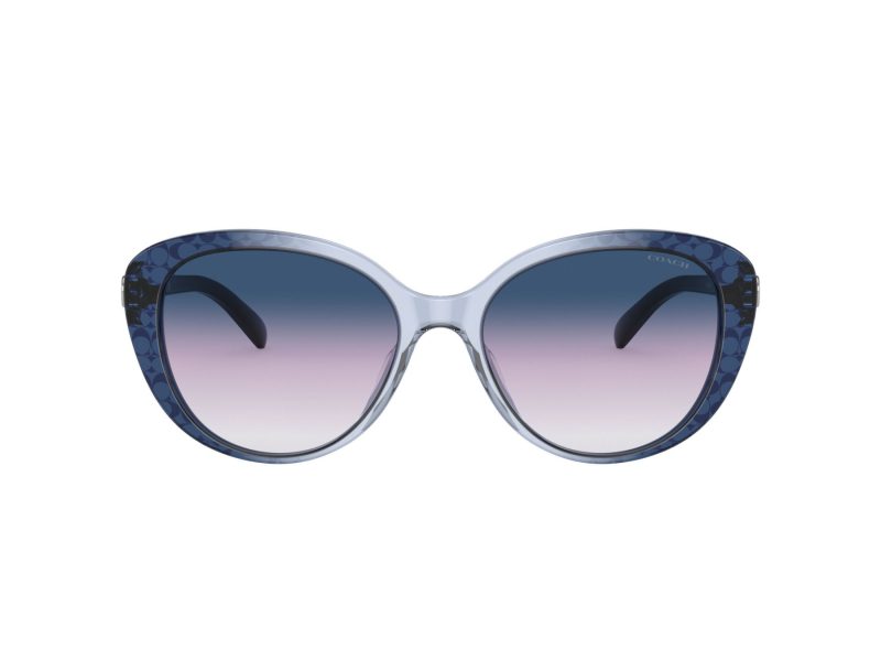 Coach Cd479 Sonnenbrille HC 8348U 57088H