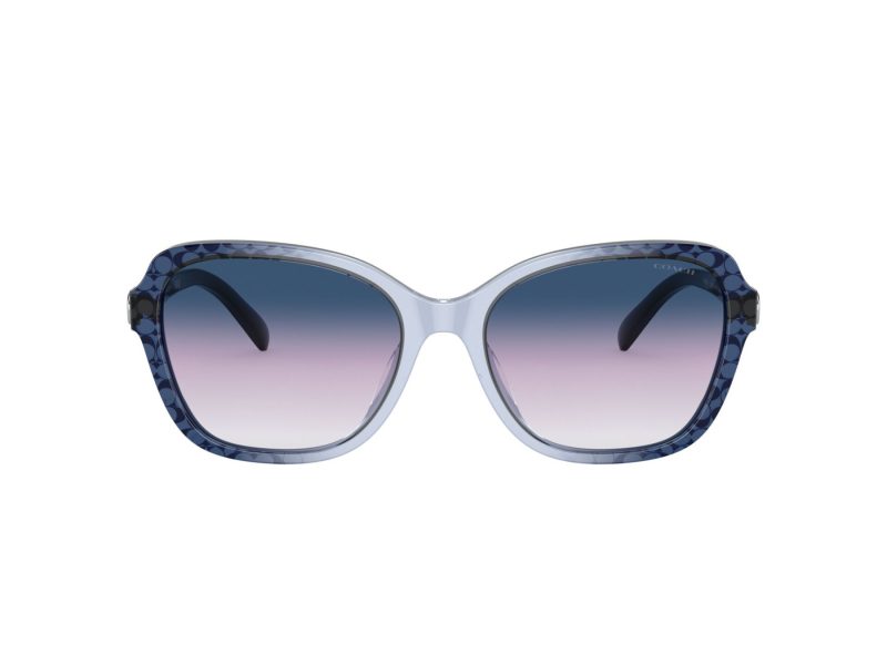 Coach Cd481 Sonnenbrille HC 8349U 57088H