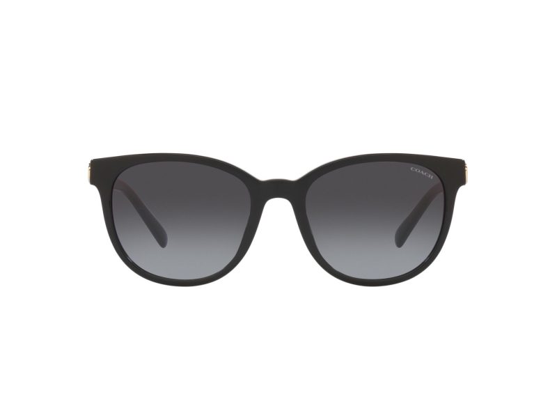 Coach Cd478 Sonnenbrille HC 8350U 50028G