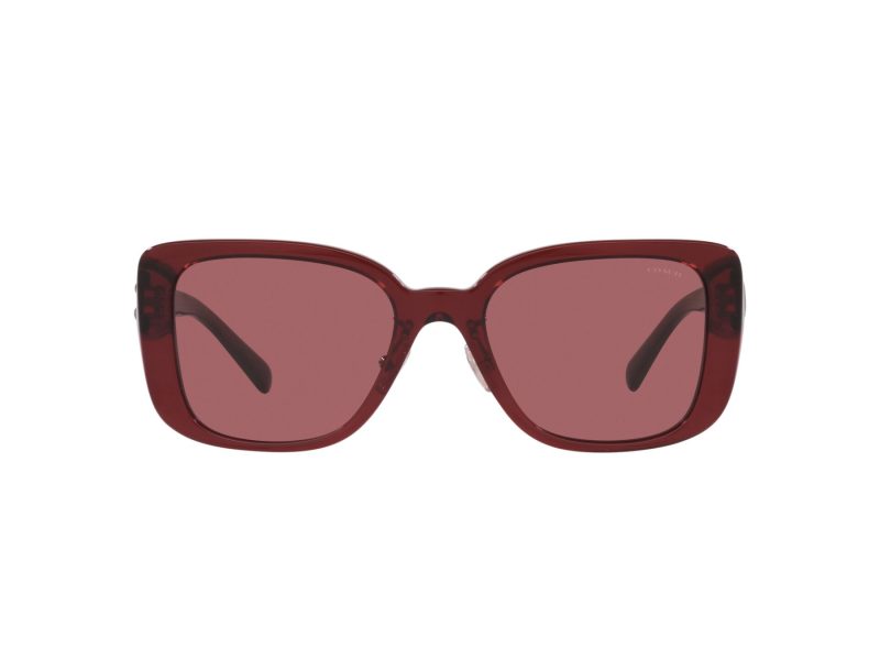 Coach Cd472 Sonnenbrille HC 8352 571369