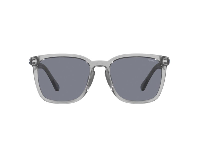 Coach Cd458 Sonnenbrille HC 8354U 571855