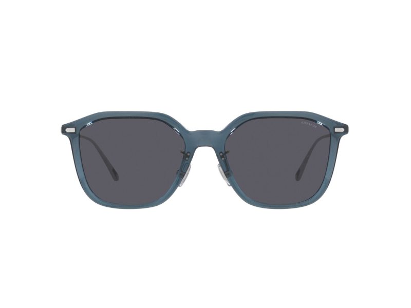 Coach Cd461 Sonnenbrille HC 8355 520387
