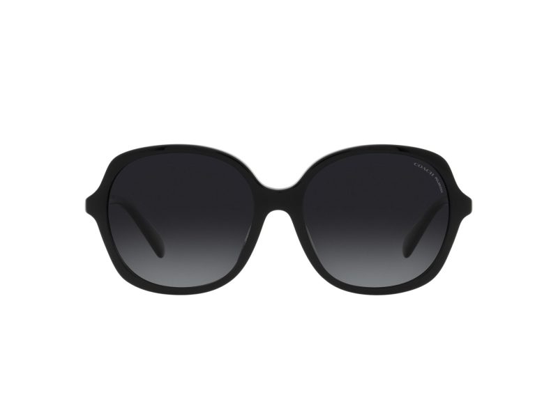 Coach Ch557 Sonnenbrille HC 8360U 5002T3
