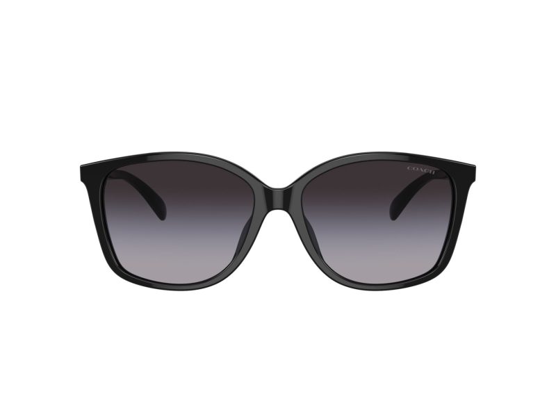 Coach Ch558 Sonnenbrille HC 8361U 50028G