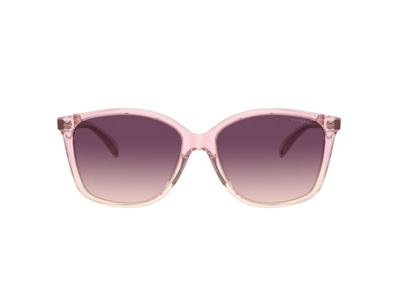 Coach Ch558 Sonnenbrille HC 8361U 57387W