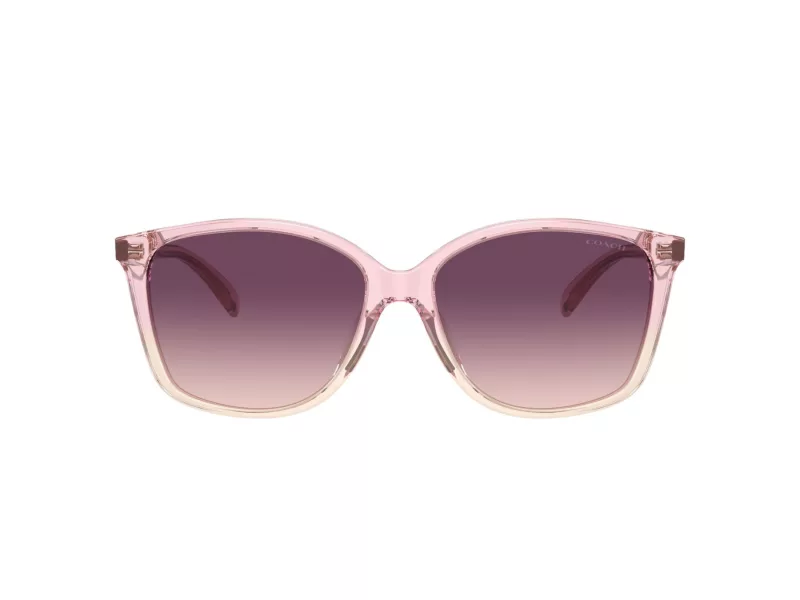 Coach Ch558 Sonnenbrille HC 8361U 57387W