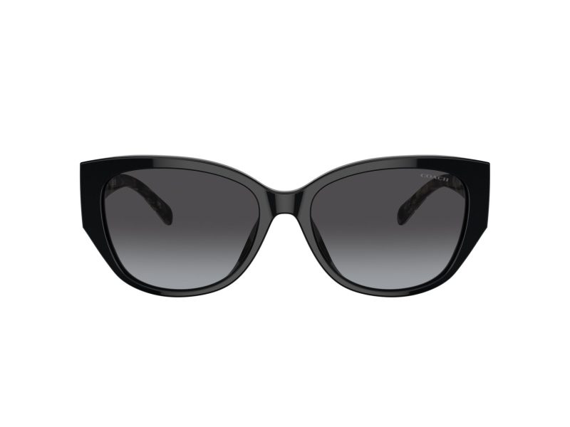 Coach Ch563 Sonnenbrille HC 8362U 50028G