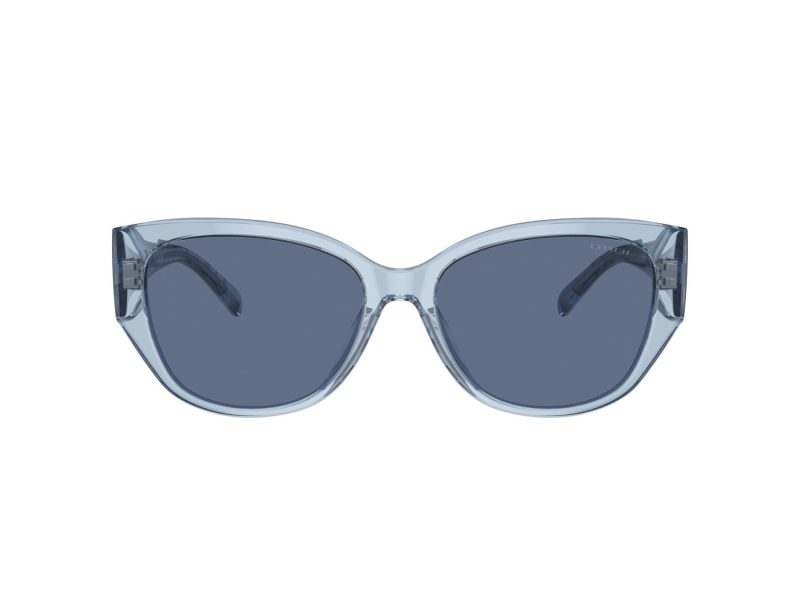 Coach Ch563 Sonnenbrille HC 8362U 574080