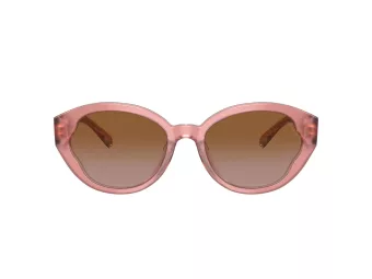 Coach Ch569 Sonnenbrille HC 8364U 574313