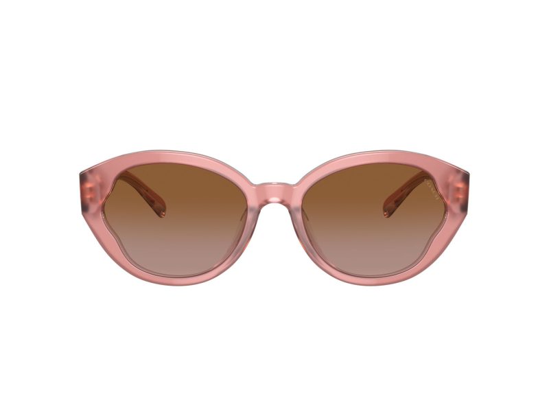 Coach Ch569 Sonnenbrille HC 8364U 574313