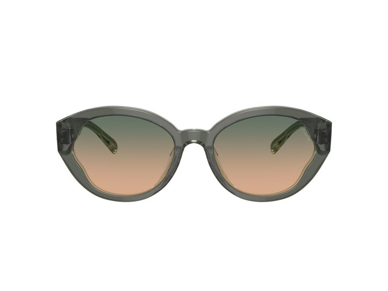Coach Ch569 Sonnenbrille HC 8364U 574613