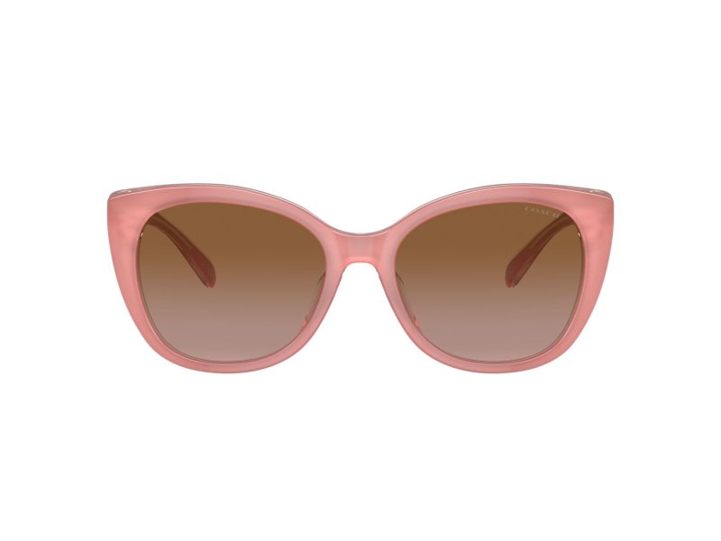 Coach Ch566 Sonnenbrille HC 8365U 574313