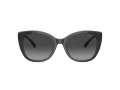 Coach Ch566 Sonnenbrille HC 8365U 57458G