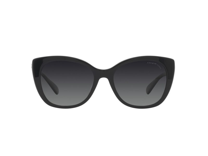 Coach Ch566 Sonnenbrille HC 8365U 5764T3
