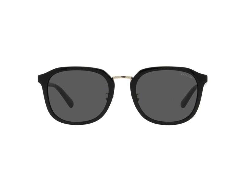 Coach Ch577 Sonnenbrille HC 8366 500287