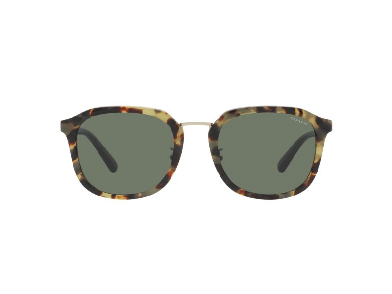 Coach Ch577 Sonnenbrille HC 8366 53243H