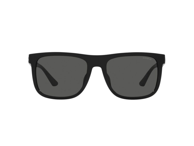 Coach Ch581 Sonnenbrille HC 8367U 500287